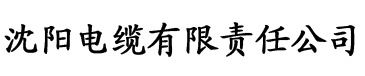 直播apo成人电缆厂logo